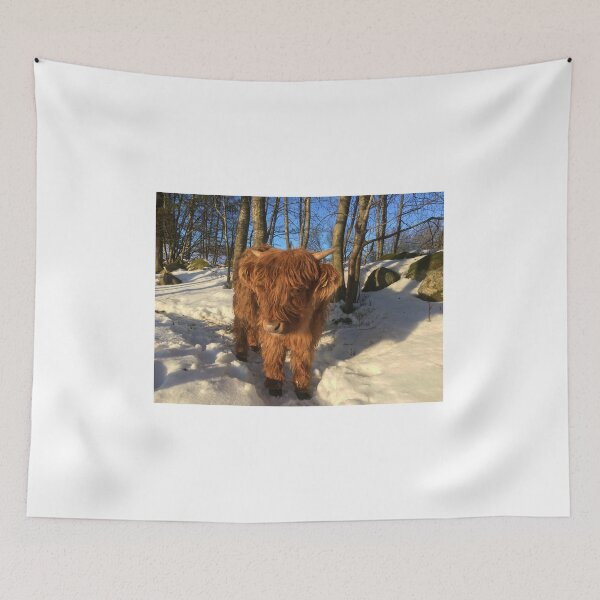 Item preview, Scottish Highland Cattle Calf 1349 designed and sold by SaarelaHighland.