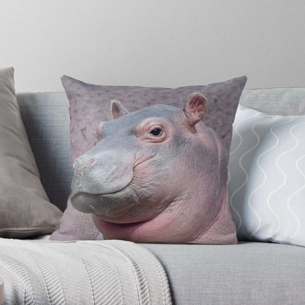 Baby Hippo Fritz at the Cincinnati Zoo and Botanical Garden Throw Pillow