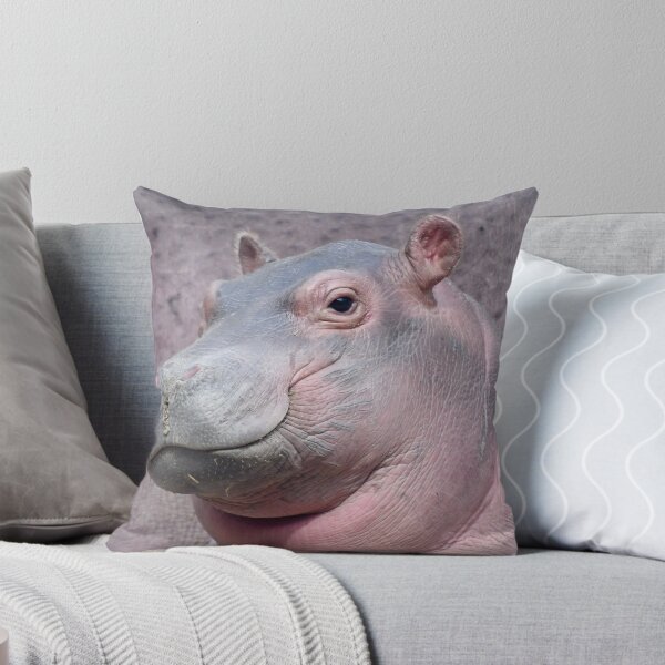 Item preview, Baby Hippo Fritz at the Cincinnati Zoo and Botanical Garden designed and sold by Zoo and Nature Photography by Karie.