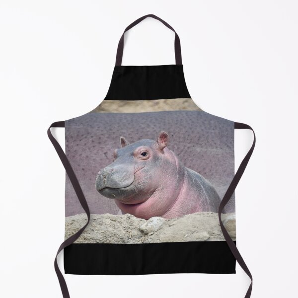 Item preview, Baby Hippo Fritz at the Cincinnati Zoo and Botanical Garden designed and sold by Zoo and Nature Photography by Karie.