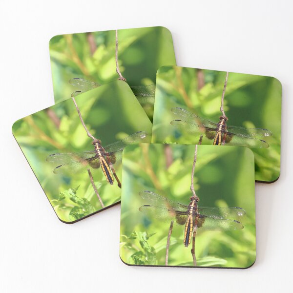 Item preview, Brown Dragonfly | Nature designed and sold by RedHandedOD.