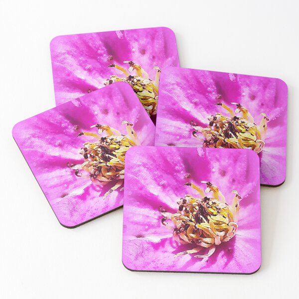 Item preview, Clematis closeup designed and sold by angel1.