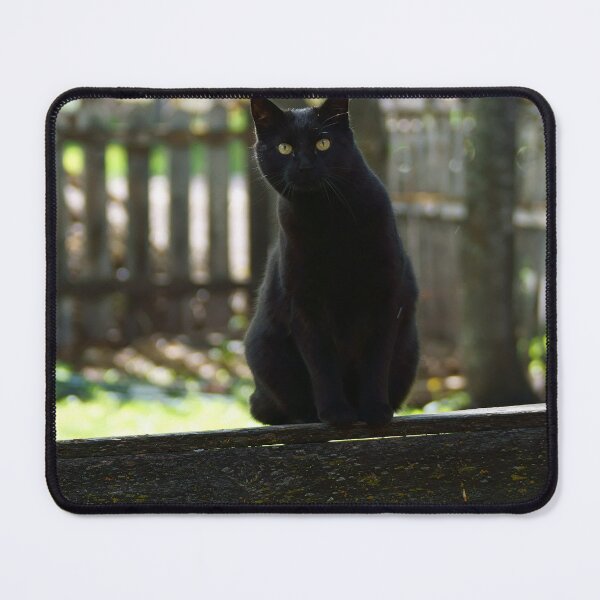 Item preview, Curious Black Cat on an Old Wooden Rail designed and sold by Vivar Photo.