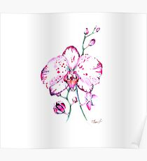 Wild orchid Poster