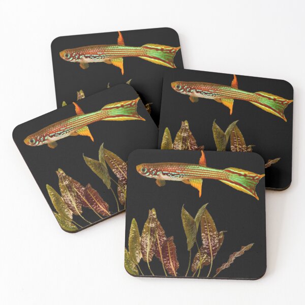 Item preview, Killifish mahdienses and Cryptocoryne moehlmannii designed and sold by killies.