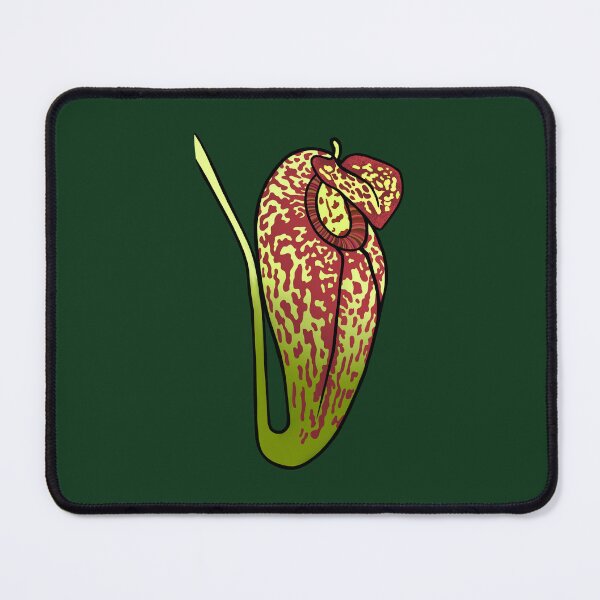 Item preview,  Nepenthes Aristolochioides Carnivorous Pitcher Plant on Dark Green designed and sold by NepenthesArt.