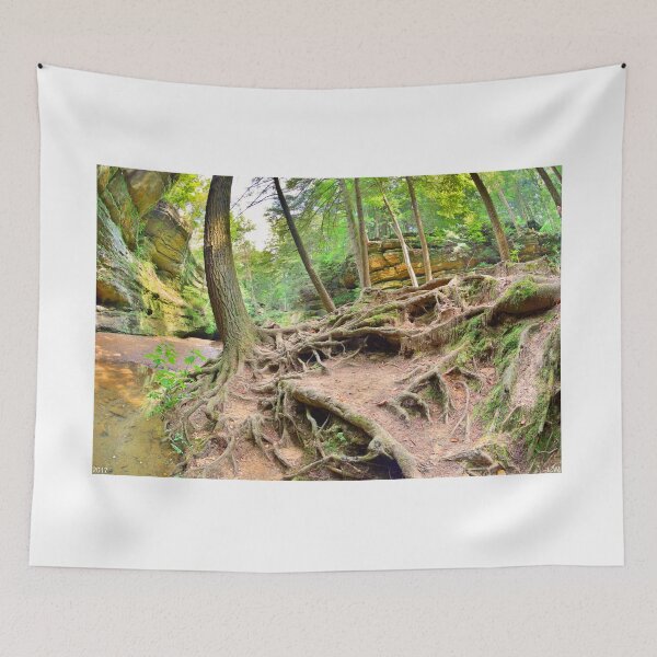 Item preview, Hocking Hills Ohio Old Man's Gorge Trail designed and sold by LisaWootenPhoto.