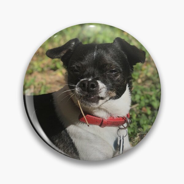 Item preview, Basking Frankie designed and sold by Autistic Rebbetzen.