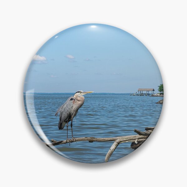 Item preview, Great Blue Heron Perched on end of Driftwood designed and sold by ShorelineImages.