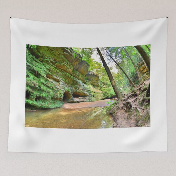 Item preview, Old Man's Gorge Trail And Caves Hocking Hills Ohio designed and sold by LisaWootenPhoto.