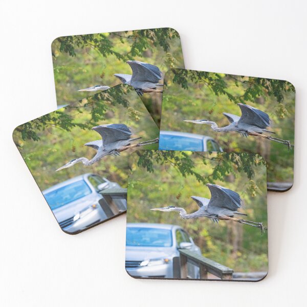 Item preview, Great Blue Heron Takeoff designed and sold by ShorelineImages.