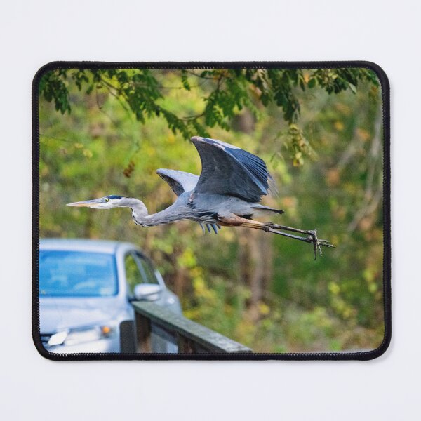 Item preview, Great Blue Heron Takeoff designed and sold by ShorelineImages.