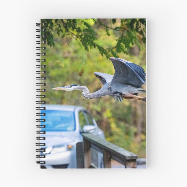 Item preview, Great Blue Heron Takeoff designed and sold by ShorelineImages.