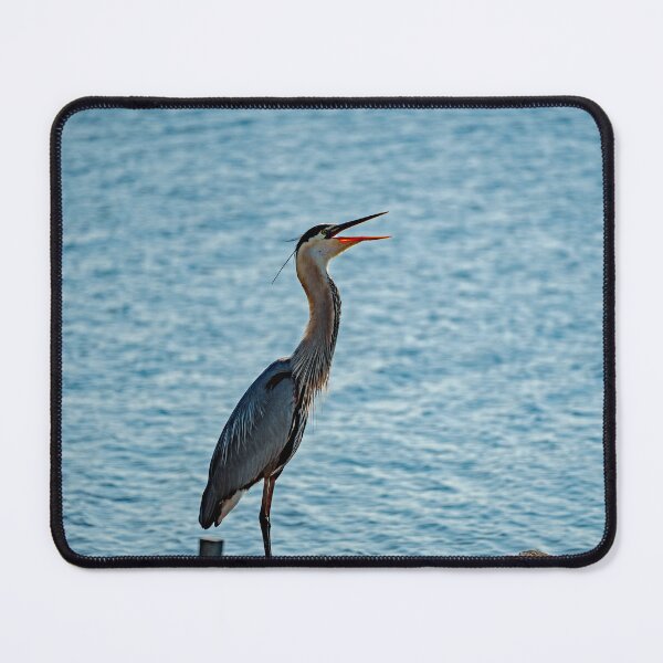 Item preview, Great Blue Heron Calling Out designed and sold by ShorelineImages.