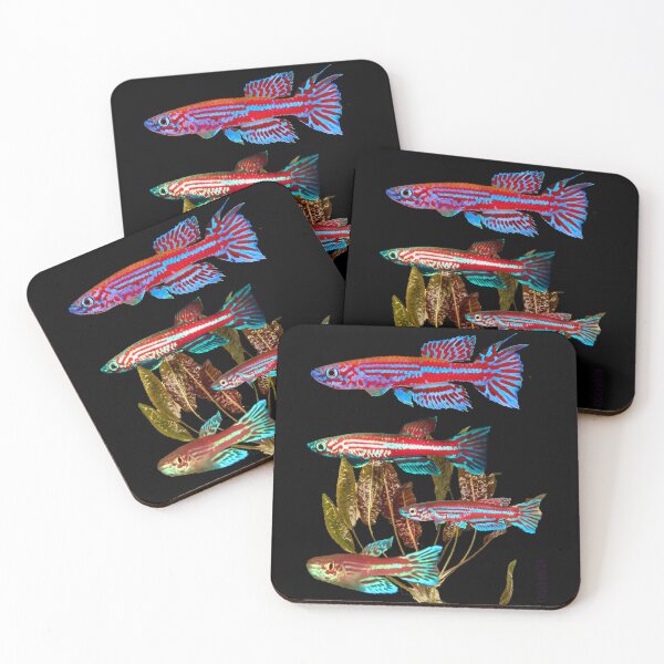 Item preview, Killifish Aphyosemion ogoense and Cryptocoryne moehlmannii designed and sold by killies.