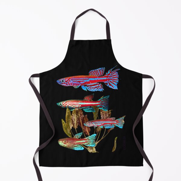 Item preview, Killifish Aphyosemion ogoense and Cryptocoryne moehlmannii designed and sold by killies.
