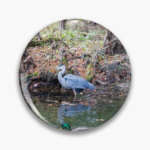 Item preview, Great Blue Heron and Mallard Duck Fishing designed and sold by ShorelineImages.