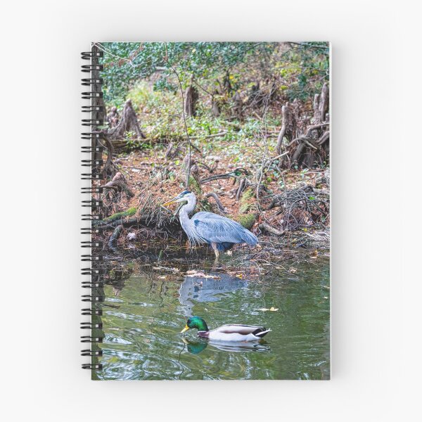 Item preview, Great Blue Heron and Mallard Duck Fishing designed and sold by ShorelineImages.