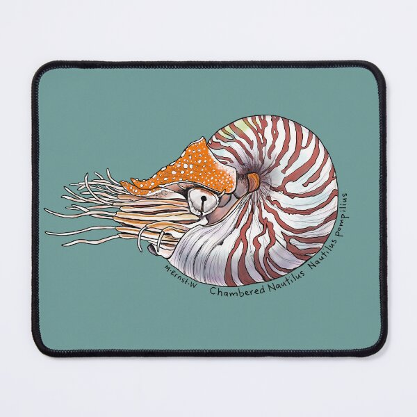 Item preview, Chambered Nautilus  designed and sold by mernstw.