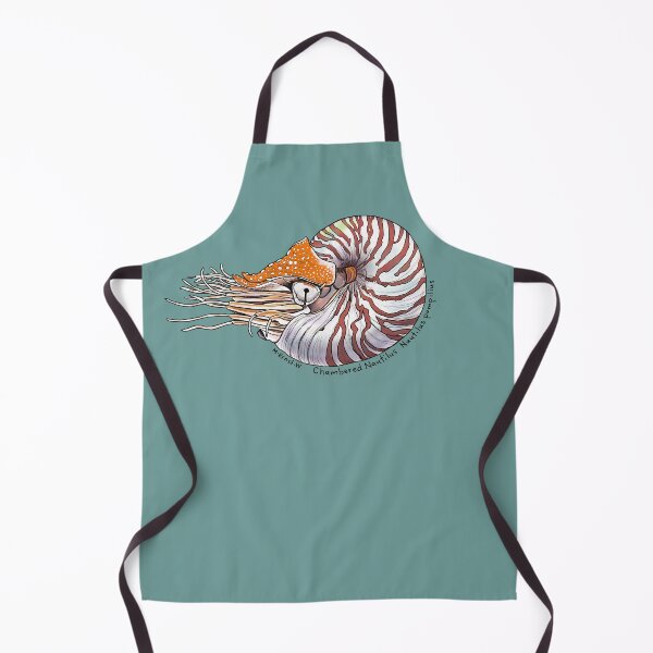 Item preview, Chambered Nautilus designed and sold by mernstw.
