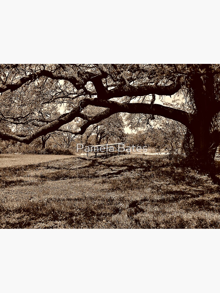 Thumbnail 7 of 7, Framed Art Print, Picnic in the Park designed and sold by idnurse41.