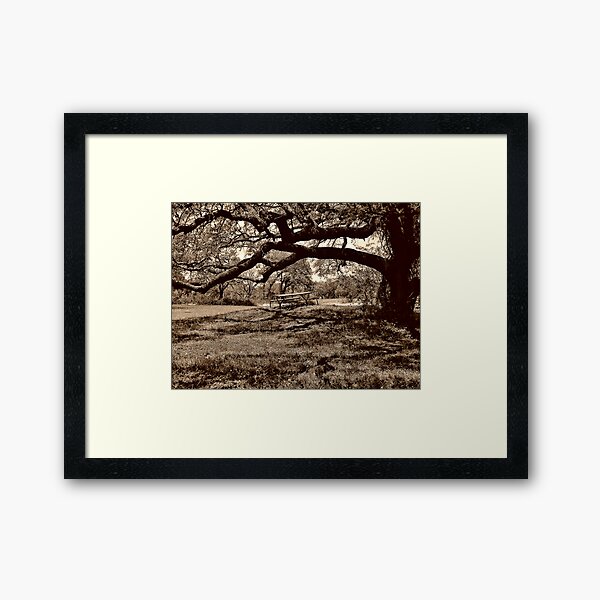 Framed Art Print