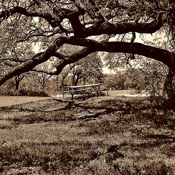 Artwork thumbnail, Picnic in the Park by Pamela Bates