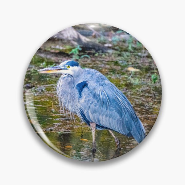 Item preview, Great Blue Heron Standing at Edge of Lake designed and sold by ShorelineImages.