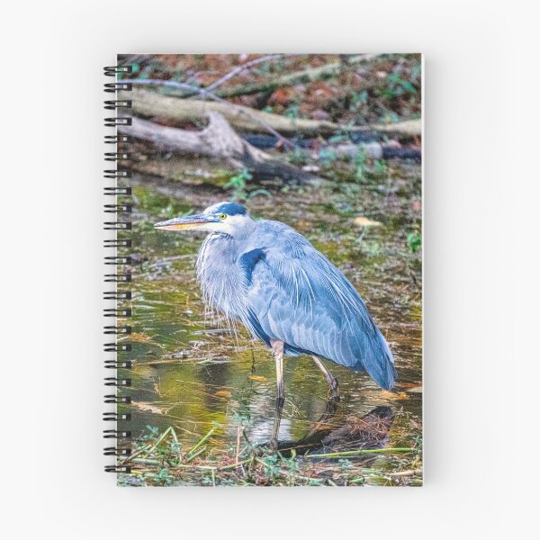 Item preview, Great Blue Heron Standing at Edge of Lake designed and sold by ShorelineImages.