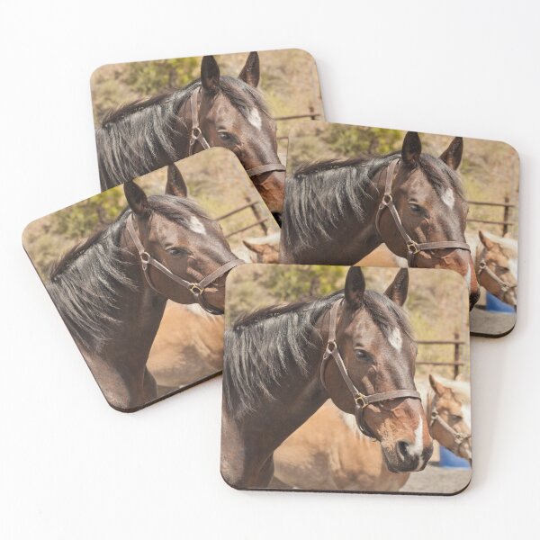 Item preview, Healing Horses Lucius (and Cooper) designed and sold by Equipowerment.