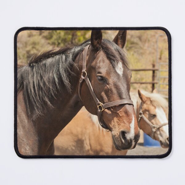Item preview, Healing Horses Lucius (and Cooper) designed and sold by Equipowerment.