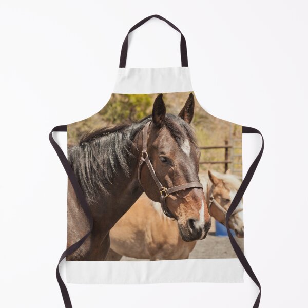 Item preview, Healing Horses Lucius (and Cooper) designed and sold by Equipowerment.