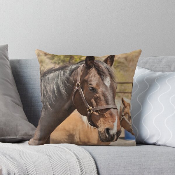 Item preview, Healing Horses Lucius (and Cooper) designed and sold by Equipowerment.