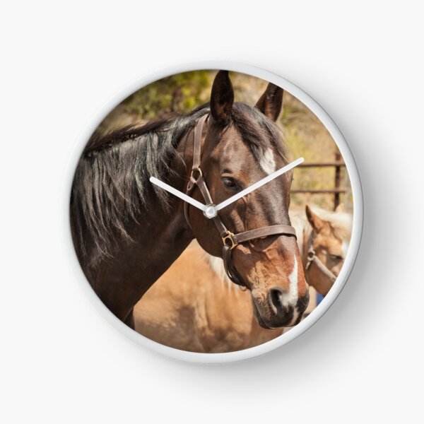 Item preview, Healing Horses Lucius (and Cooper) designed and sold by Equipowerment.