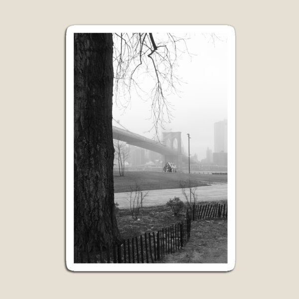 A tree grows in Brooklyn Magnet
