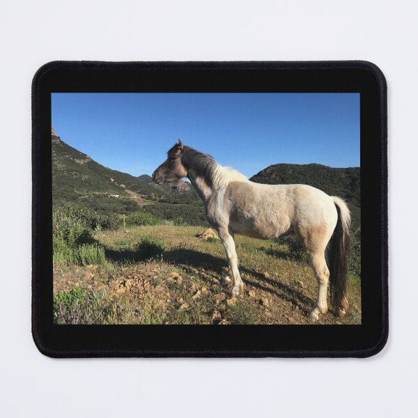 Item preview, Copy of Healing Horse Luna designed and sold by Equipowerment.