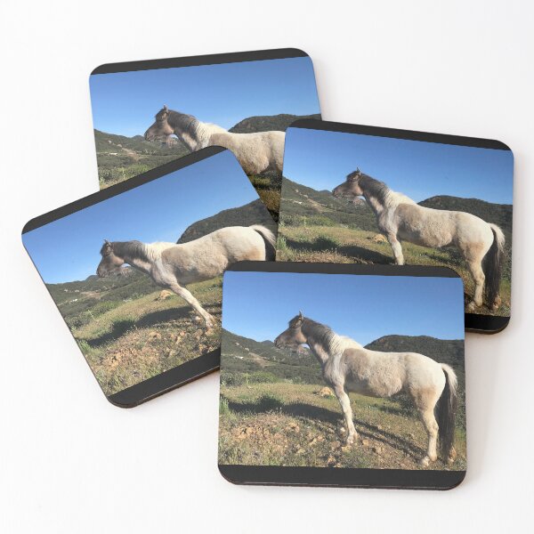 Item preview, Copy of Healing Horse Luna designed and sold by Equipowerment.