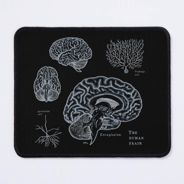 Item preview, The human brain: scientific illustration designed and sold by mangui.
