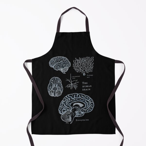 Item preview, The human brain: scientific illustration designed and sold by mangui.