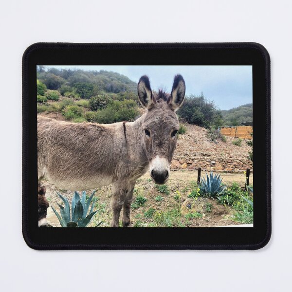 Item preview, Healing Mini Donkey Millie designed and sold by Equipowerment.