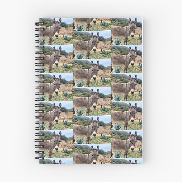 Item preview, Healing Mini Donkey Millie designed and sold by Equipowerment.