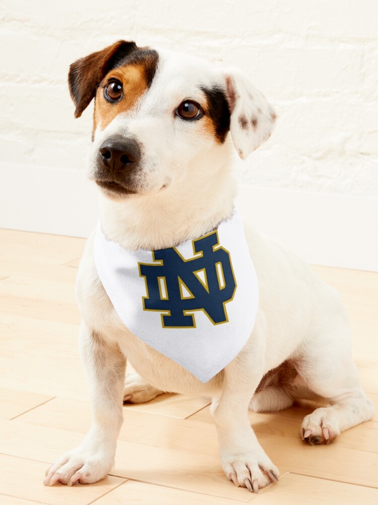 Notre dame dog store bandana