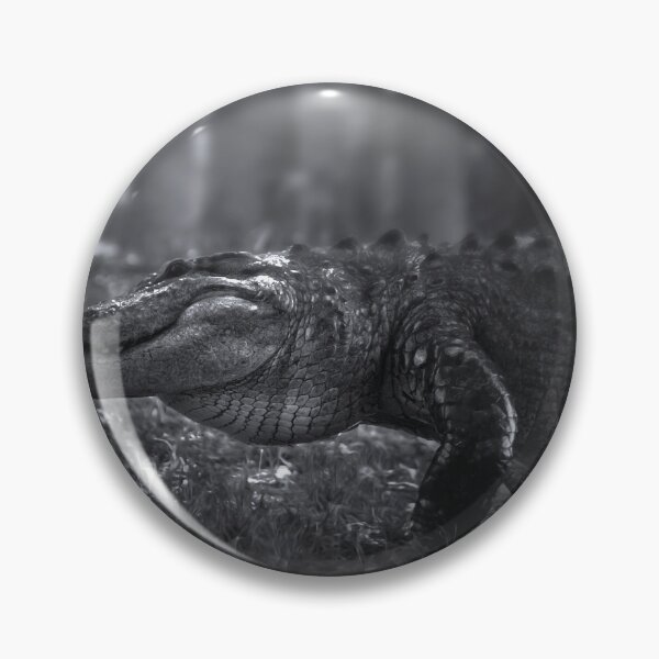 Item preview, King of the Everglades designed and sold by VisualVoyages.