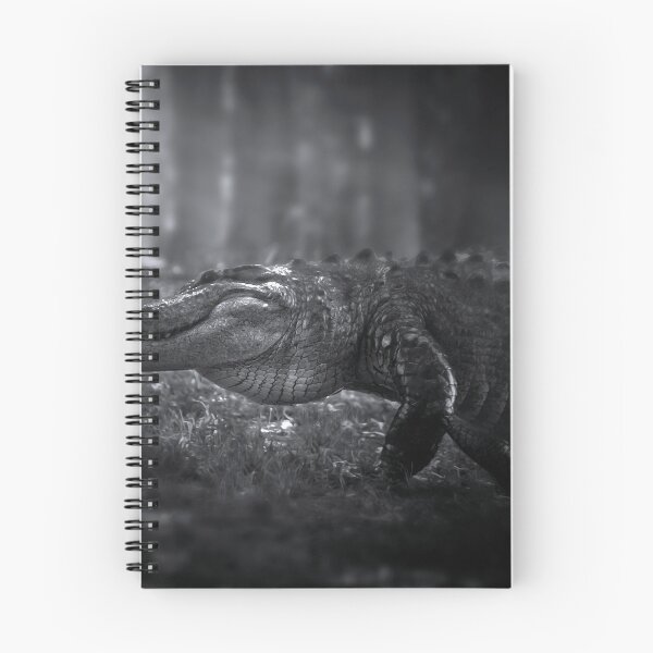 Item preview, King of the Everglades designed and sold by VisualVoyages.