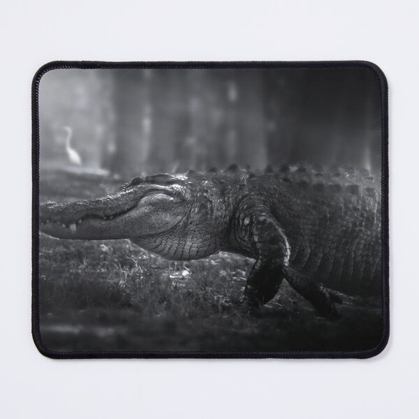 Item preview, King of the Everglades designed and sold by VisualVoyages.