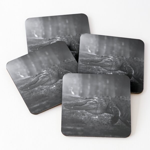 Item preview, King of the Everglades designed and sold by VisualVoyages.