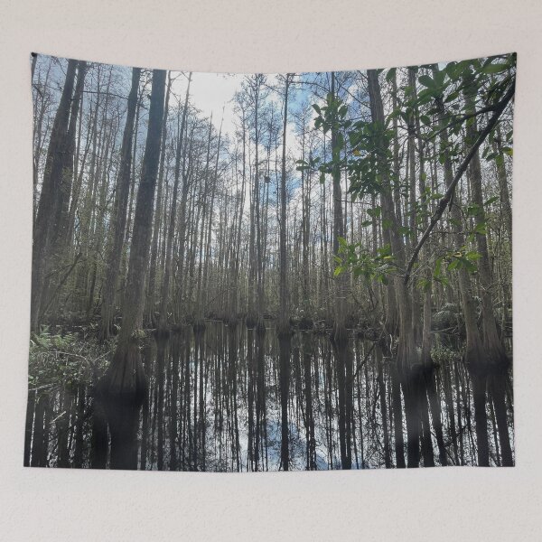 Item preview, Cypress trees in the swamp designed and sold by Lexipooh76.