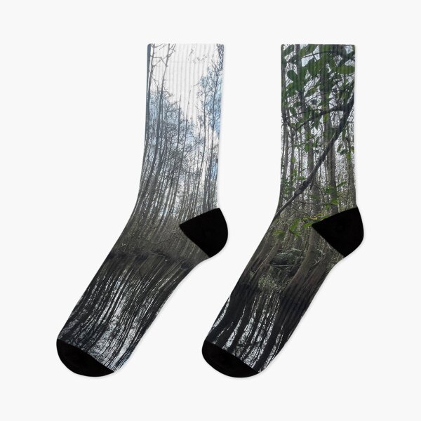 Item preview, Cypress trees in the swamp designed and sold by Lexipooh76.