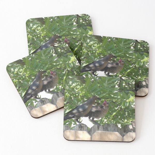 Item preview, Mother and Juvenile Grackle designed and sold by Birds-by-Bovi.