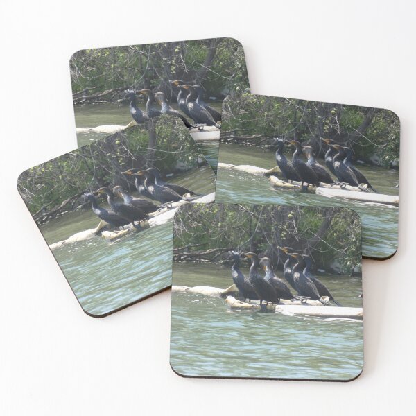 Item preview, The Cormorant Crew designed and sold by Birds-by-Bovi.
